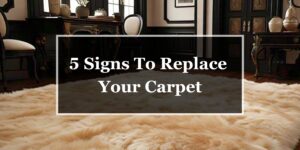 Signs to replace Carpet