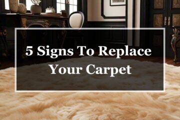 Signs to replace Carpet