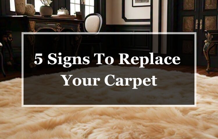 Signs to replace Carpet